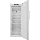 Whirlpool WVA35632 NFW 2 - Vriezer - Kastmodel - Wit